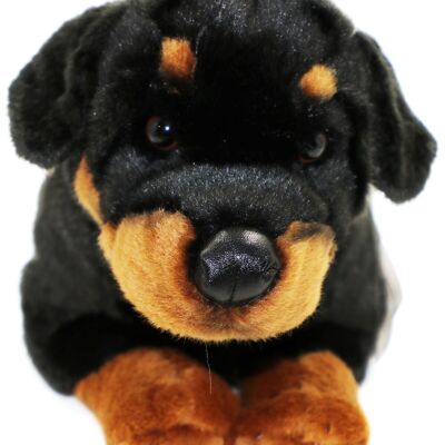 Rottweiler, liegend - 39 cm (Länge) - Keywords: Hund, Haustier, Plüsch, Plüschtier, Stofftier, Kuscheltier