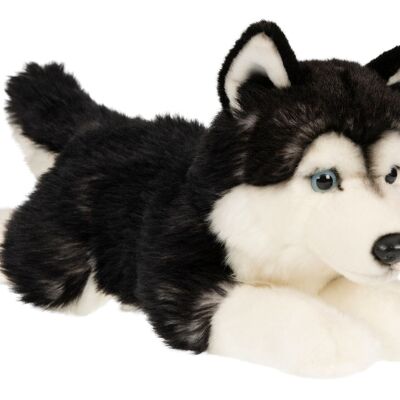 Husky negro, acostado - 41 cm (largo) - Palabras clave: perro, mascota, peluche, peluche, animal de peluche, peluche