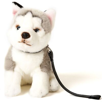 Husky gris, assis (avec laisse) - 24 cm (hauteur) - Mots clés : chien, animal de compagnie, peluche, peluche, peluche, peluche