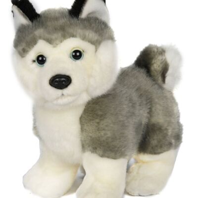 Cachorro husky gris, de pie (sin correa) - 21 cm (largo) - Palabras clave: perro, mascota, peluche, peluche, peluche, peluche