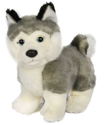 Chiot Husky gris, debout (sans laisse) - 21 cm (longueur) - Mots clés : chien, animal de compagnie, peluche, peluche, peluche, peluche 1