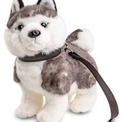 Cachorro husky gris, de pie (con correa) - 21 cm (largo) - Palabras clave: perro, mascota, peluche, peluche, peluche, peluche