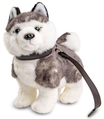Chiot Husky gris, debout (avec laisse) - 21 cm (longueur) - Mots clés : chien, animal de compagnie, peluche, peluche, peluche, peluche 1