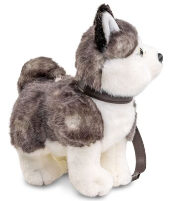 Chiot Husky gris, debout (avec laisse) - 21 cm (longueur) - Mots clés : chien, animal de compagnie, peluche, peluche, peluche, peluche 3