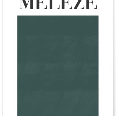 Affiche Vert Mélèze