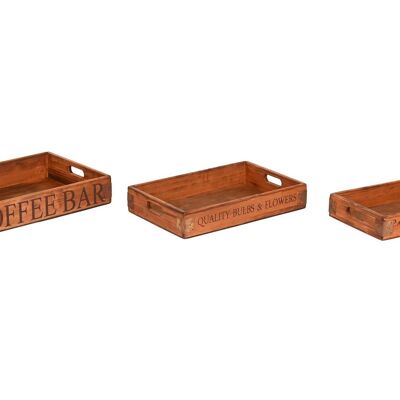 TRAY SET 3 FIR 56X38X10 PRINTED WITH HANDLE DC214093
