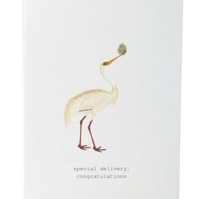 Tokyomilk Special Delivery - Greeting Card