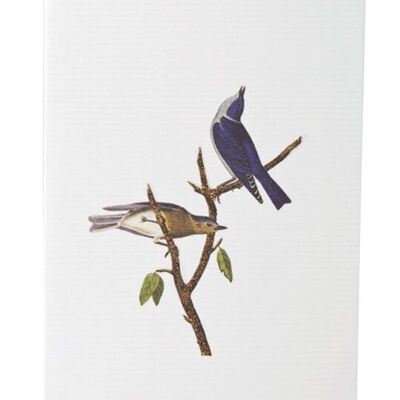 Tokyomilk Blue Birds (en blanco) - Tarjeta de felicitación