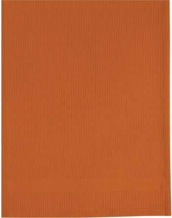 LOT DE 2 TORCHONS 50X70 COTON TERRACOTTA