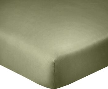 DRAP HOUSSE 100% COTON 160X200CM BONNET 35CM 100% COTON 57FILS VERT VERVEINE 2