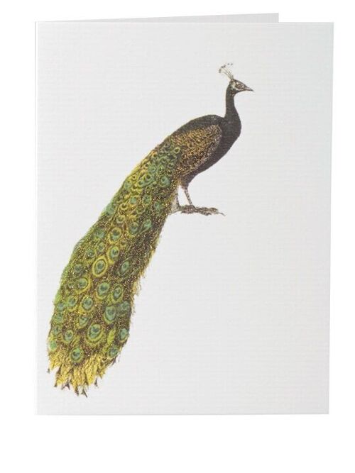 Tokyomilk Peacock (Blank) - Greeting Card