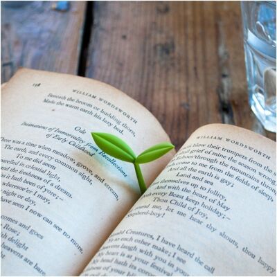 SPROUT BOOKMARK