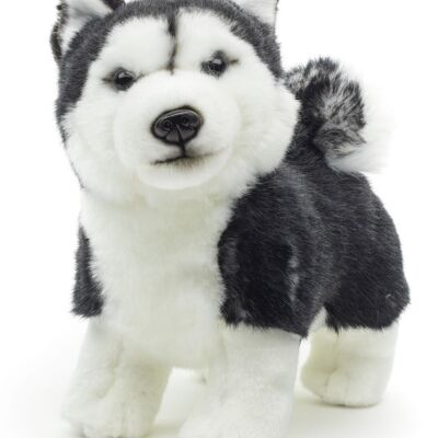 Husky puppy, standing (black) - Without leash - 21 cm (length) - Keywords: dog, pet, plush, plush toy, stuffed animal, cuddly toy