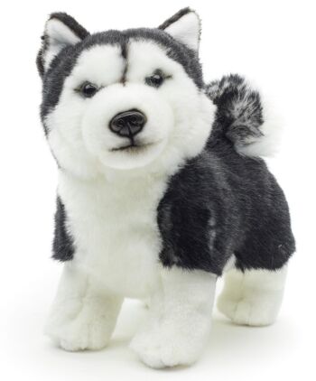 Chiot Husky, debout (noir) - Sans laisse - 21 cm (longueur) - Mots clés : chien, animal de compagnie, peluche, peluche, peluche, peluche 1