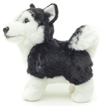 Chiot Husky, debout (noir) - Sans laisse - 21 cm (longueur) - Mots clés : chien, animal de compagnie, peluche, peluche, peluche, peluche 2
