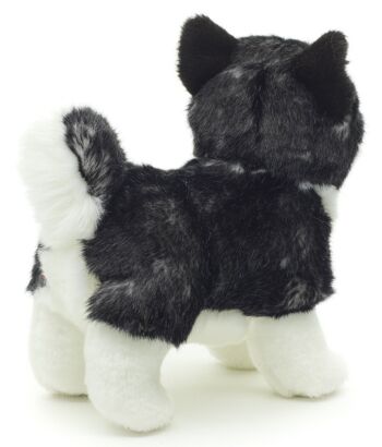 Chiot Husky, debout (noir) - Sans laisse - 21 cm (longueur) - Mots clés : chien, animal de compagnie, peluche, peluche, peluche, peluche 3