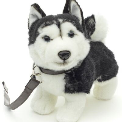 Cachorro husky, de pie (negro) - Con correa - 21 cm (largo) - Palabras clave: perro, mascota, peluche, peluche, peluche, peluche