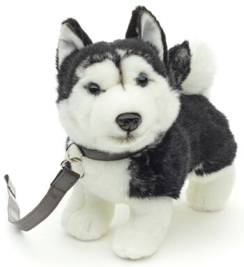 Chiot Husky, debout (noir) - Avec laisse - 21 cm (longueur) - Mots clés : chien, animal de compagnie, peluche, peluche, peluche, peluche 1