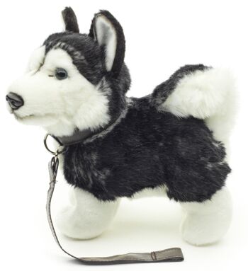 Chiot Husky, debout (noir) - Avec laisse - 21 cm (longueur) - Mots clés : chien, animal de compagnie, peluche, peluche, peluche, peluche 2