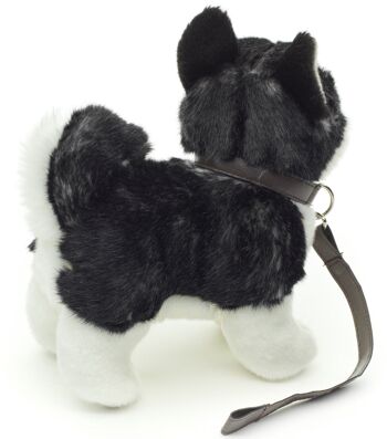 Chiot Husky, debout (noir) - Avec laisse - 21 cm (longueur) - Mots clés : chien, animal de compagnie, peluche, peluche, peluche, peluche 3