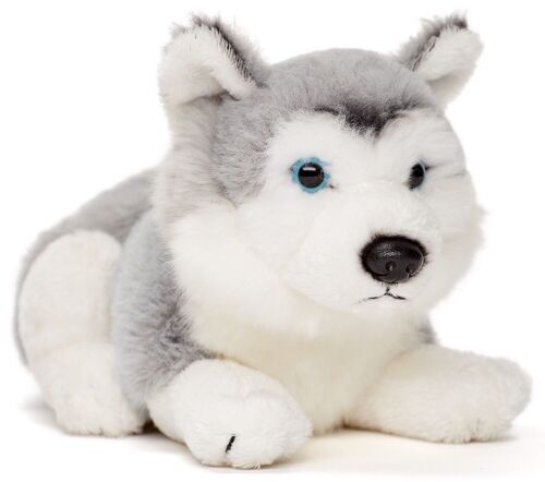 Husky Plushie, liegend (grau) - 17 cm (Länge) - Keywords: Hund, Haustier, Plüsch, Plüschtier, Stofftier, Kuscheltier