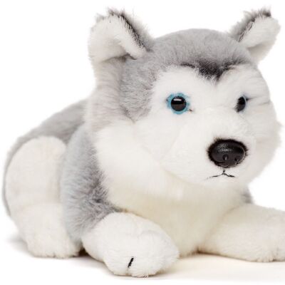 Husky Plushie, liegend (grau) - 17 cm (Länge) - Keywords: Hund, Haustier, Plüsch, Plüschtier, Stofftier, Kuscheltier