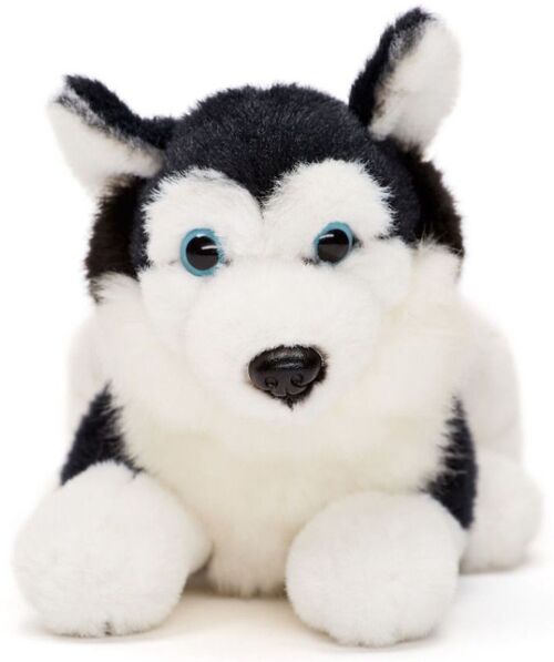 Husky Plushie, liegend (schwarz) - 17 cm (Länge) - Keywords: Hund, Haustier, Plüsch, Plüschtier, Stofftier, Kuscheltier