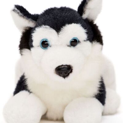 Husky Plushie, lying (black) - 17 cm (length) - Keywords: dog, pet, plush, plush toy, stuffed animal, cuddly toy