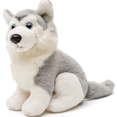 Peluche Husky, seduto (grigio) - 16 cm (altezza) - Parole chiave: cane, animale domestico, peluche, peluche, animale di peluche, peluche