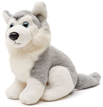 Husky Plushie, assis (gris) - 16 cm (hauteur) - Mots clés : chien, animal de compagnie, peluche, peluche, peluche, peluche 1