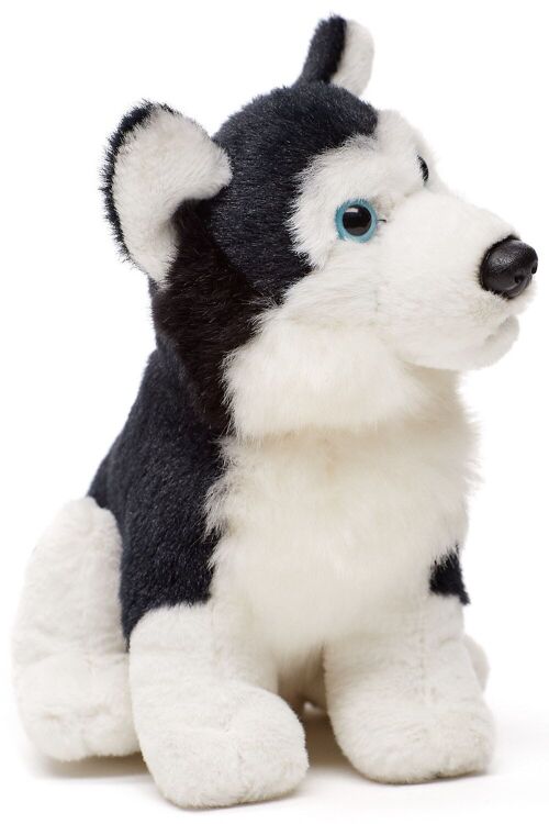 Husky Plushie, sitzend (schwarz) - 16 cm (Höhe) - Keywords: Hund, Haustier, Plüsch, Plüschtier, Stofftier, Kuscheltier