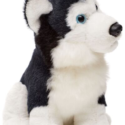 Husky Plushie, seduto (nero) - 16 cm (altezza) - Parole chiave: cane, animale domestico, peluche, peluche, animale di peluche, peluche