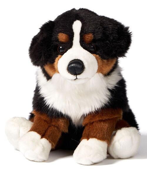 Berner Sennenhund, sitzend - 25 cm (Höhe) - Keywords: Hund, Haustier, Plüsch, Plüschtier, Stofftier, Kuscheltier