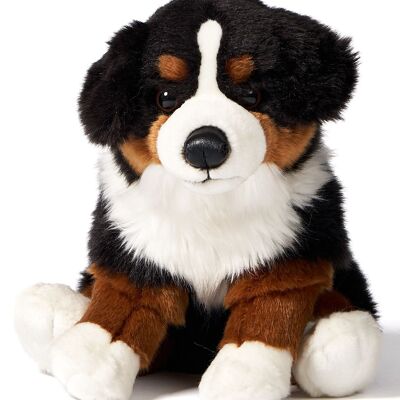 Bernese Mountain Dog, sitting - 25 cm (height) - Keywords: dog, pet, plush, plush toy, stuffed animal, cuddly toy