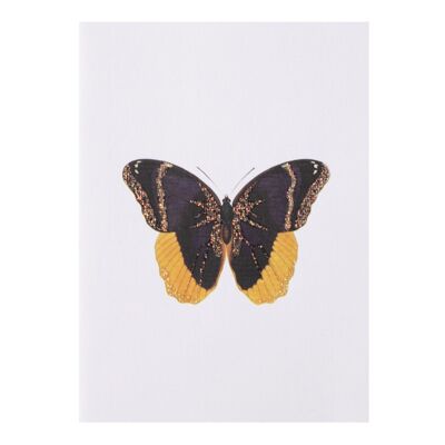 Papillon Tokyomilk - Carte de vœux