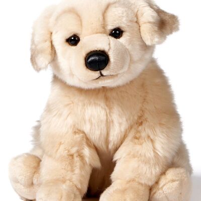 Golden Retriever, sentado - 25 cm (altura) - Palabras clave: perro, mascota, peluche, peluche, peluche, peluche