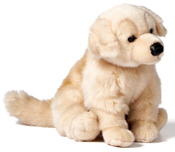 Golden Retriever, assis - 25 cm (hauteur) - Mots clés : chien, animal de compagnie, peluche, peluche, peluche, peluche 2