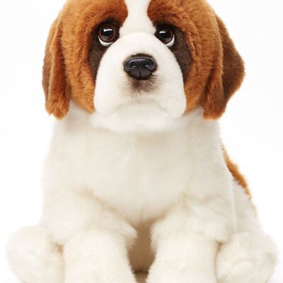 Saint Bernard, assis - 25 cm (hauteur) - Mots clés : chien, animal de compagnie, peluche, peluche, peluche, doudou