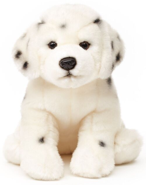 Dalmatiner, sitzend - 25 cm (Höhe) - Keywords: Hund, Haustier, Plüsch, Plüschtier, Stofftier, Kuscheltier