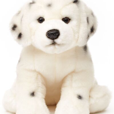 Dalmatian, sitting - 25 cm (height) - Keywords: dog, pet, plush, plush toy, stuffed animal, cuddly toy