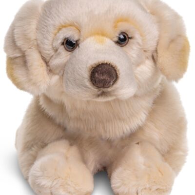 Golden Retriever, lying (without harness) - 60 cm (length) - Keywords: dog, pet, plush, plush toy, stuffed animal, cuddly toy