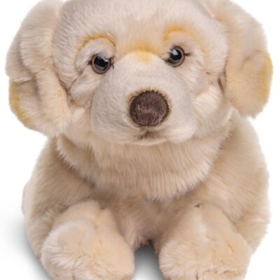 Golden Retriever, couché (sans harnais) - 60 cm (longueur) - Mots clés : chien, animal de compagnie, peluche, peluche, peluche, peluche