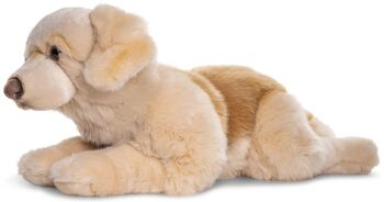 Golden Retriever, couché (sans harnais) - 60 cm (longueur) - Mots clés : chien, animal de compagnie, peluche, peluche, peluche, peluche 2