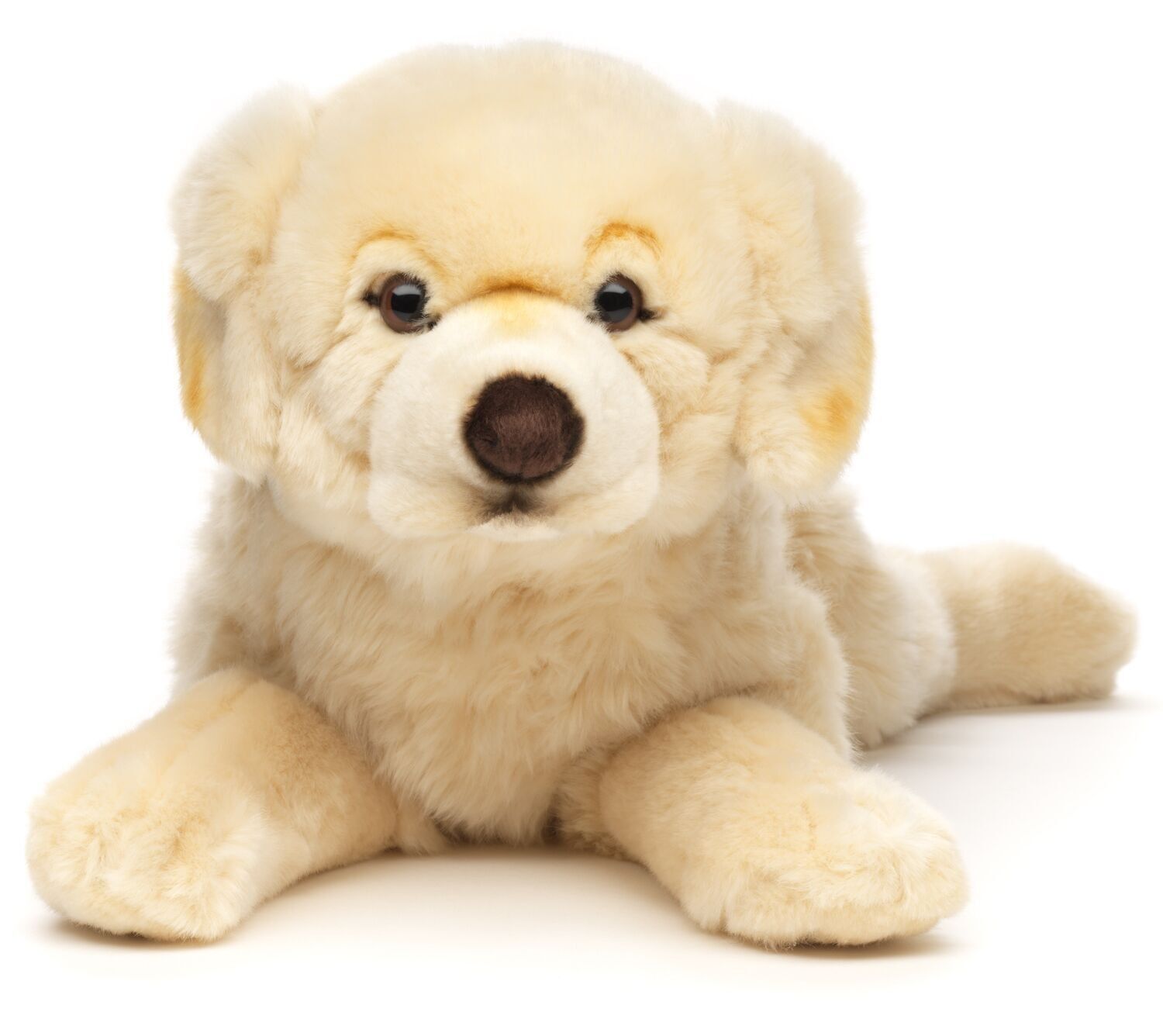 Golden Retriever, tumbado (sin arnés) - 60 cm (largo) - Palabras clave: perro, mascota, peluche, peluche, peluche, peluche