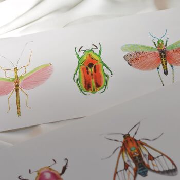 Carte d'art illustrée "Little world " - Portraits trio d'insectes rose 3