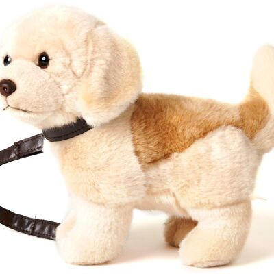 Cucciolo di Golden Retriever, in piedi - Con guinzaglio - 22 cm (altezza) - Parole chiave: cane, animale domestico, peluche, peluche, animale di peluche, peluche