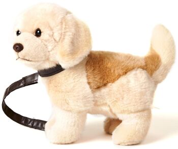 Chiot Golden Retriever, debout - Avec laisse - 22 cm (hauteur) - Mots clés : chien, animal de compagnie, peluche, peluche, peluche, peluche 1