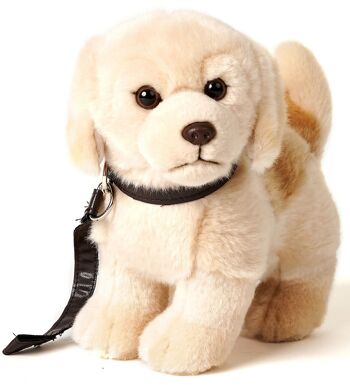 Chiot Golden Retriever, debout - Avec laisse - 22 cm (hauteur) - Mots clés : chien, animal de compagnie, peluche, peluche, peluche, peluche 2