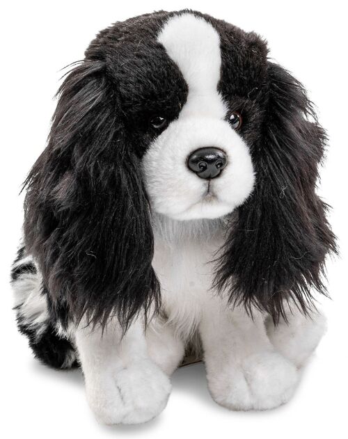 Cocker Spaniel, sitzend (ohne Leine) - schwarz-weiß - 23 cm (Höhe) - Keywords: Hund, Haustier, Plüsch, Plüschtier, Stofftier, Kuscheltier