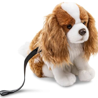 Cocker Spaniel, sitting (with leash) - brown-white - 23 cm (height) - Keywords: dog, pet, plush, plush toy, stuffed animal, cuddly toy